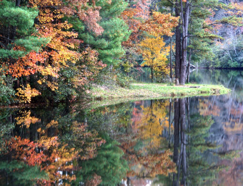 Fall Color at Cascade Lake