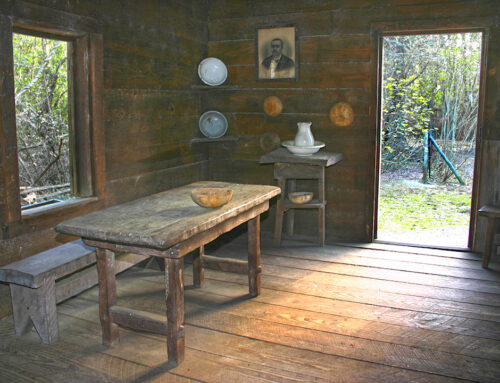 Slave Cabin at Magnolia Plantation