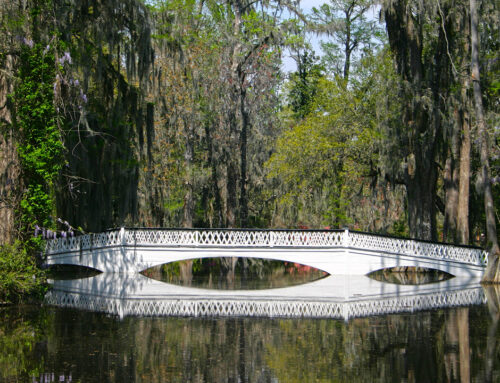 Long Bridge at Magnolia Plantation
